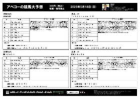 電子版