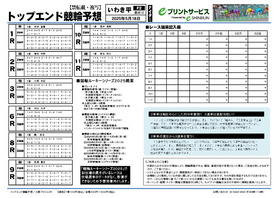 電子版