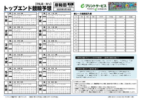 電子版